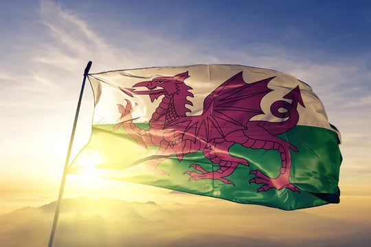Welsh flag in the sunshine