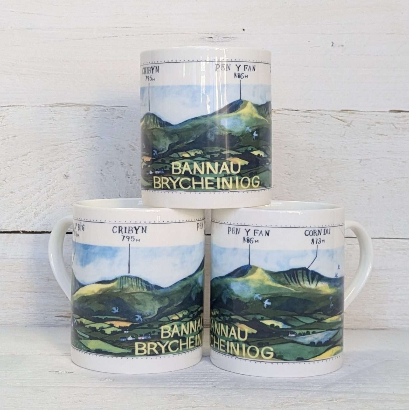 Bannau Brycheiniog Large Mug