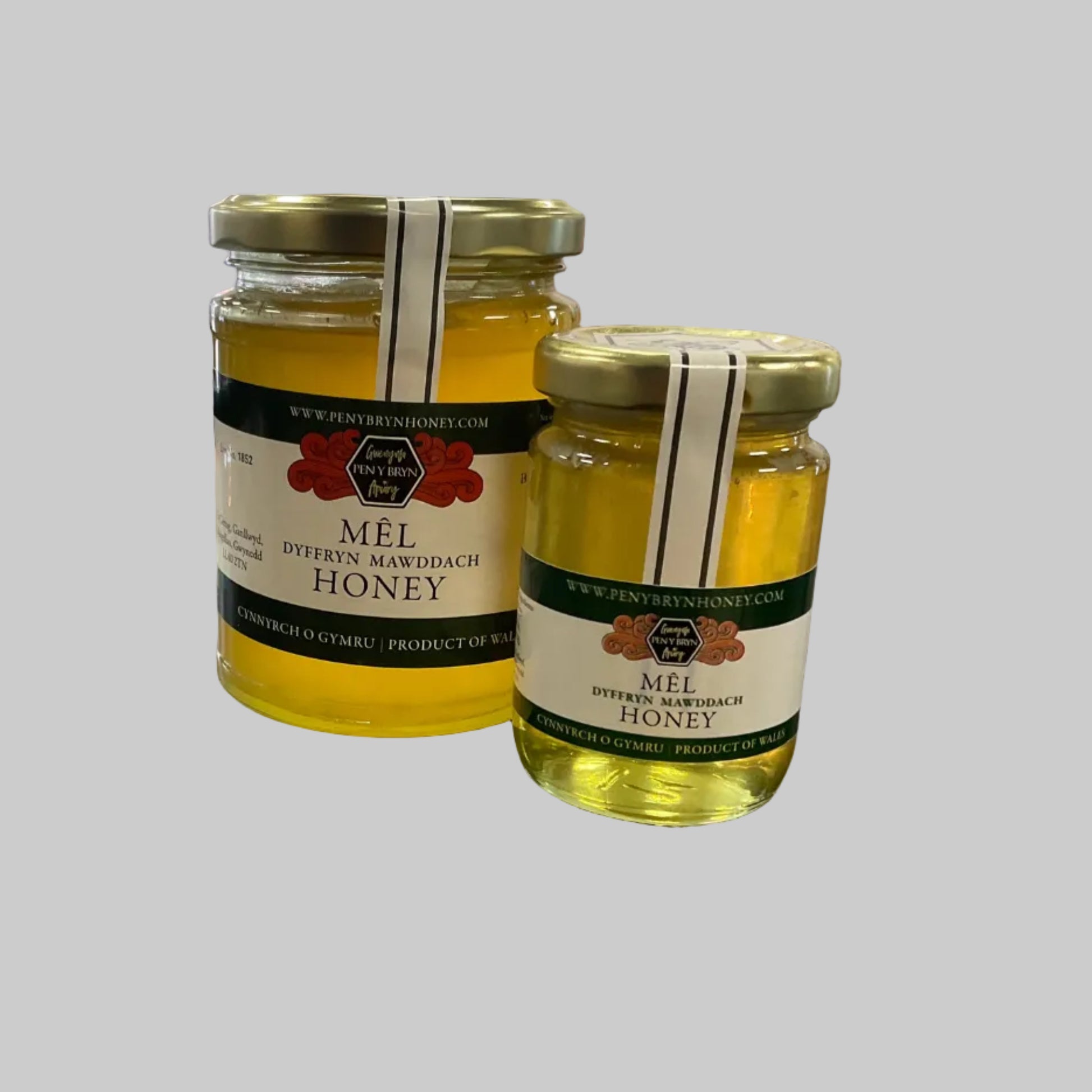 Pen Y Bryn Welsh honey